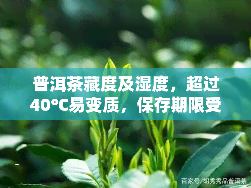 普洱茶藏度及湿度，超过40℃易变质，保存期限受度影响