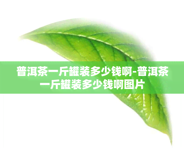 普洱茶一斤罐装多少钱啊-普洱茶一斤罐装多少钱啊图片