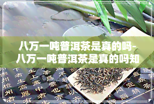 八万一吨普洱茶是真的吗-八万一吨普洱茶是真的吗知乎