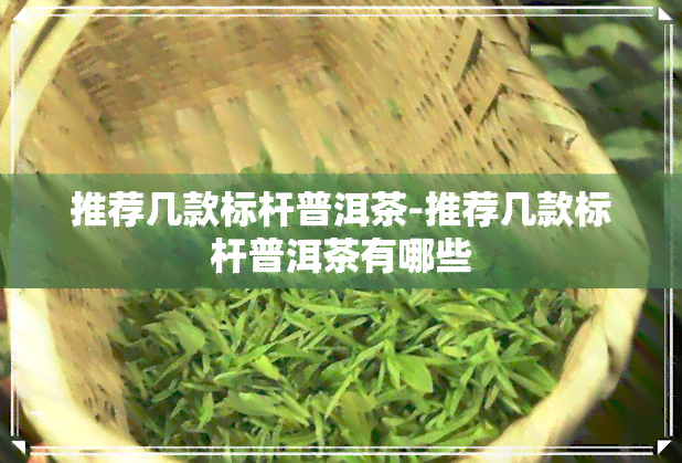 推荐几款标杆普洱茶-推荐几款标杆普洱茶有哪些