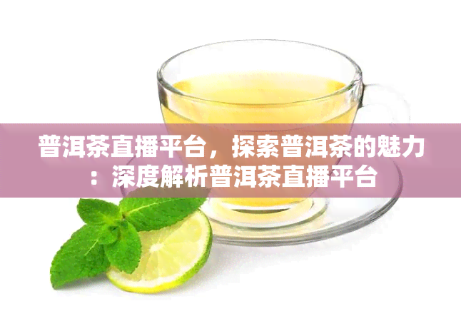 普洱茶直播平台，探索普洱茶的魅力：深度解析普洱茶直播平台