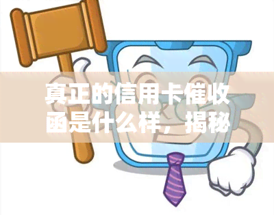 真正的信用卡函是什么样，揭秘真正的信用卡函：你必须知道的要点