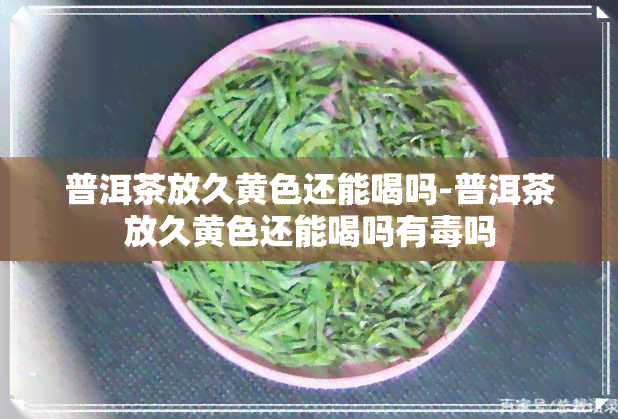 普洱茶放久黄色还能喝吗-普洱茶放久黄色还能喝吗有吗