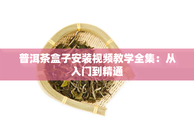 普洱茶盒子安装视频教学全集：从入门到精通