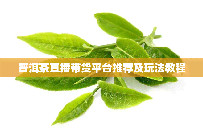 普洱茶直播带货平台推荐及玩法教程