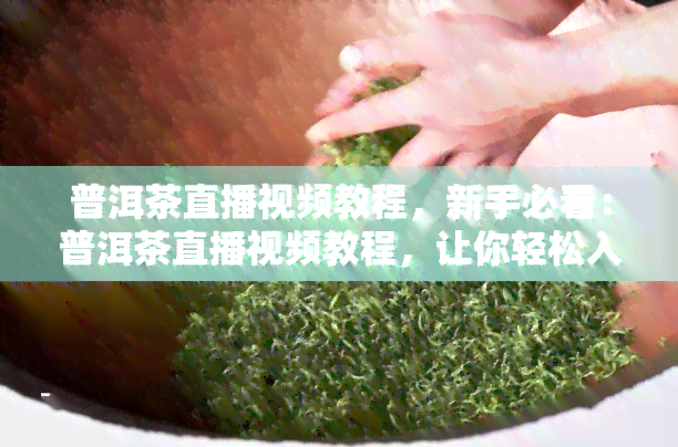 普洱茶直播视频教程，新手必看：普洱茶直播视频教程，让你轻松入门！