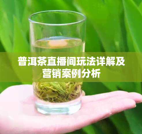 普洱茶直播间玩法详解及营销案例分析