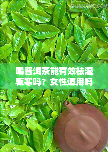 喝普洱茶能有效祛湿驱寒吗？女性适用吗？