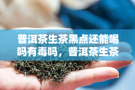 普洱茶生茶黑点还能喝吗有吗，普洱茶生茶黑点是否存在害？能否饮用？