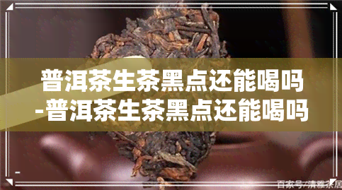 普洱茶生茶黑点还能喝吗-普洱茶生茶黑点还能喝吗有吗