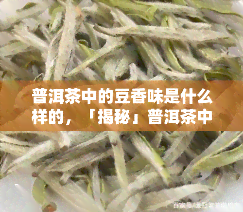 普洱茶中的豆香味是什么样的，「揭秘」普洱茶中的豆香味：它是怎样的？