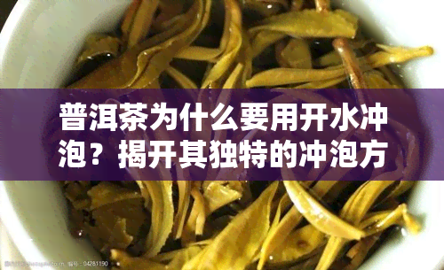 普洱茶为什么要用开水冲泡？揭开其独特的冲泡方式与重要性