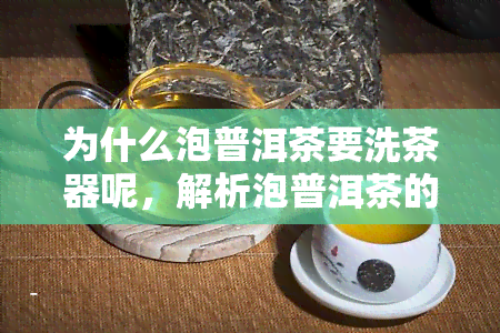 为什么泡普洱茶要洗茶器呢，解析泡普洱茶的必备步骤：为何需要洗茶器？