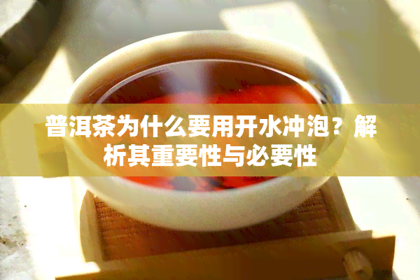 普洱茶为什么要用开水冲泡？解析其重要性与必要性