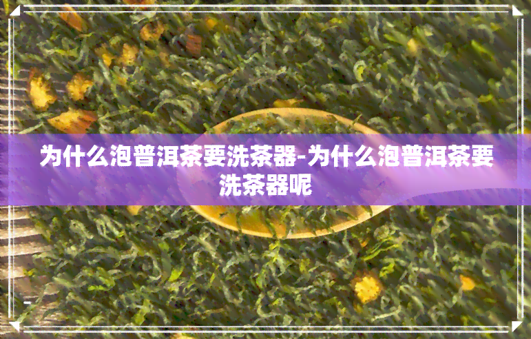 为什么泡普洱茶要洗茶器-为什么泡普洱茶要洗茶器呢