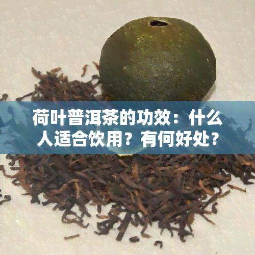 荷叶普洱茶的功效：什么人适合饮用？有何好处？