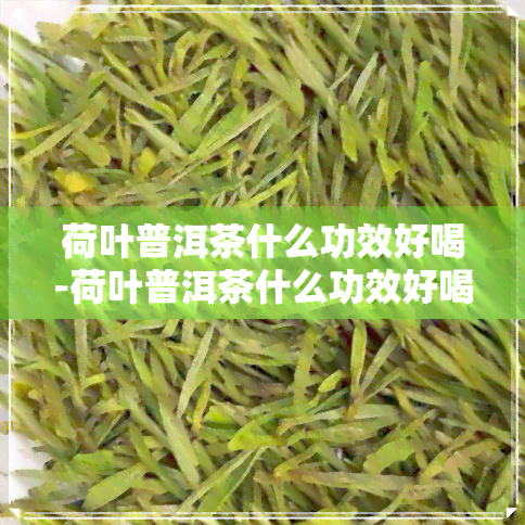 荷叶普洱茶什么功效好喝-荷叶普洱茶什么功效好喝一点