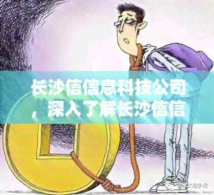 长沙信信息科技公司，深入了解长沙信信息科技公司：领先的技术与优质的服务