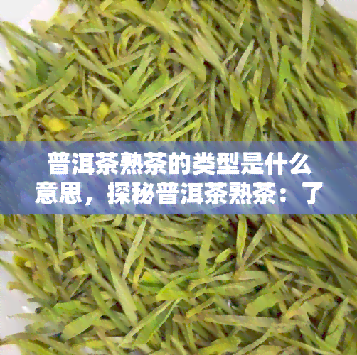 普洱茶熟茶的类型是什么意思，探秘普洱茶熟茶：了解其不同类型和特点