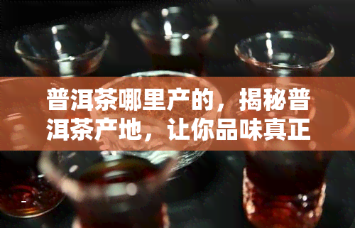 普洱茶哪里产的，揭秘普洱茶产地，让你品味真正的云南好茶！