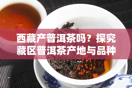  *** 产普洱茶吗？探究藏区普洱茶产地与品种