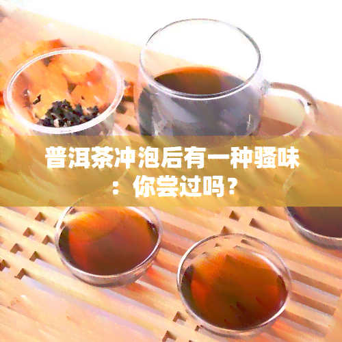 普洱茶冲泡后有一种骚味：你尝过吗？