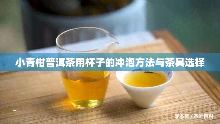 小青柑普洱茶用杯子的冲泡方法与茶具选择