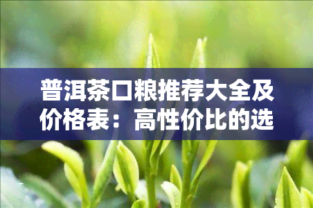 普洱茶口粮推荐大全及价格表：高性价比的选择