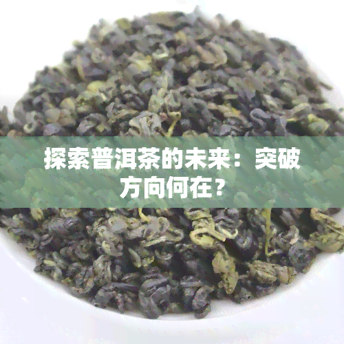 探索普洱茶的未来：突破方向何在？