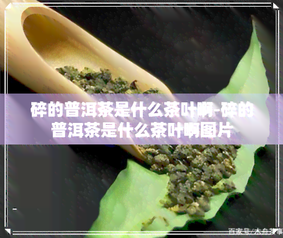 碎的普洱茶是什么茶叶啊-碎的普洱茶是什么茶叶啊图片