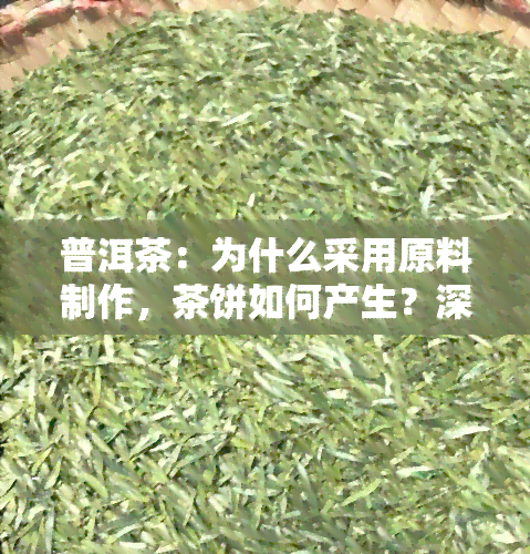 普洱茶：为什么采用原料制作，茶饼如何产生？深入了解其独特发酵工艺与名声