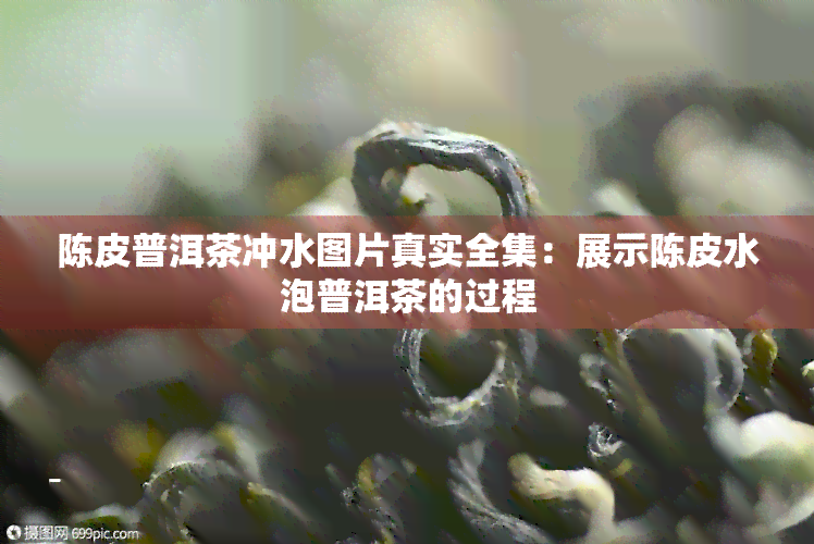 陈皮普洱茶冲水图片真实全集：展示陈皮水泡普洱茶的过程