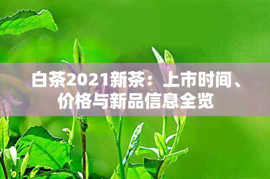 白茶2021新茶：上市时间、价格与新品信息全览