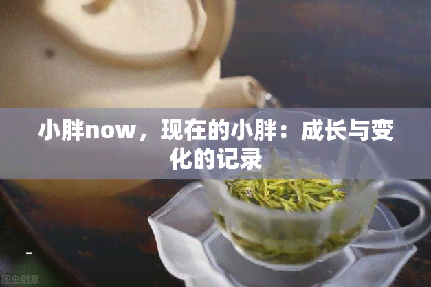 小胖now，现在的小胖：成长与变化的记录