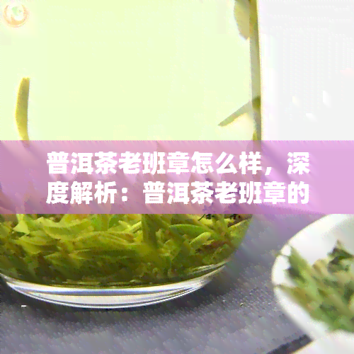 普洱茶老班章怎么样，深度解析：普洱茶老班章的口感与品质特点