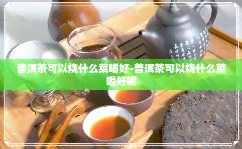 普洱茶可以烧什么菜喝好-普洱茶可以烧什么菜喝好呢