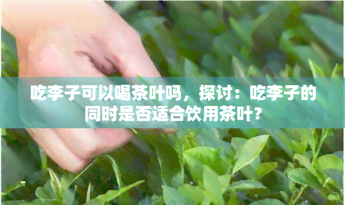 吃李子可以喝茶叶吗，探讨：吃李子的同时是否适合饮用茶叶？