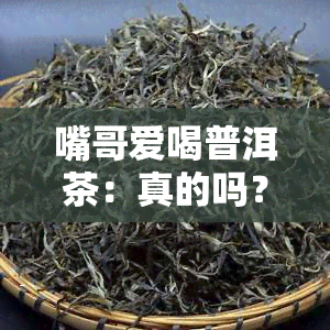 嘴哥爱喝普洱茶：真的吗？