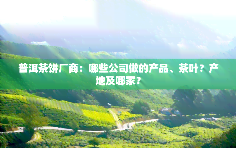 普洱茶饼厂商：哪些公司做的产品、茶叶？产地及哪家？