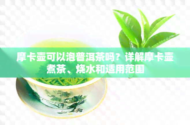 摩卡壶可以泡普洱茶吗？详解摩卡壶煮茶、烧水和适用范围