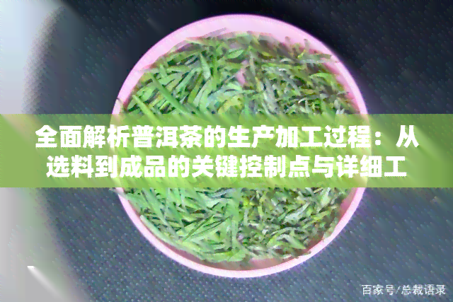 全面解析普洱茶的生产加工过程：从选料到成品的关键控制点与详细工艺流程图