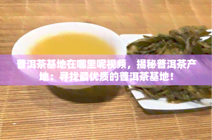 普洱茶基地在哪里呢视频，揭秘普洱茶产地：寻找更优质的普洱茶基地！