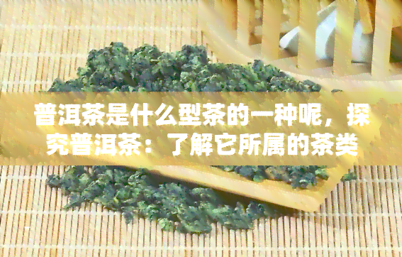 普洱茶是什么型茶的一种呢，探究普洱茶：了解它所属的茶类类型