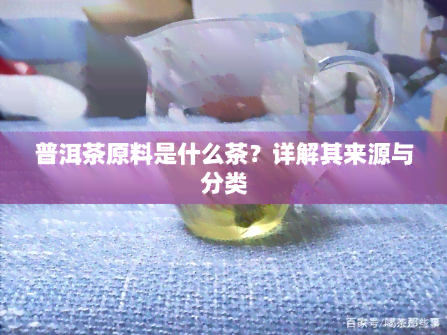 普洱茶原料是什么茶？详解其来源与分类