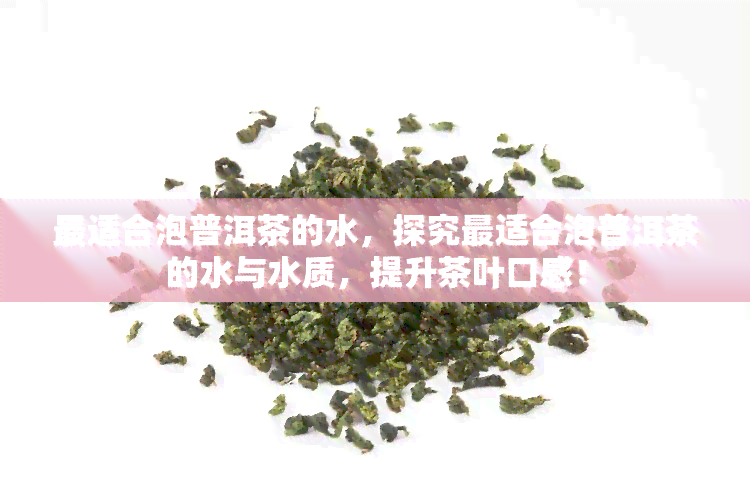 最适合泡普洱茶的水，探究最适合泡普洱茶的水与水质，提升茶叶口感！