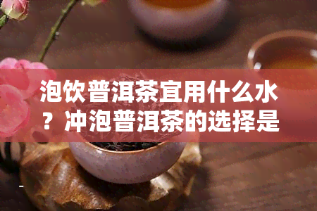 泡饮普洱茶宜用什么水？冲泡普洱茶的选择是什么？