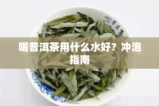 喝普洱茶用什么水好？冲泡指南