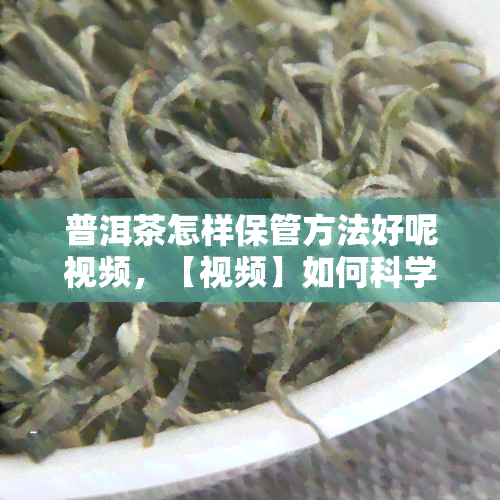 普洱茶怎样保管方法好呢视频，【视频】如何科学保存普洱茶？看这里！