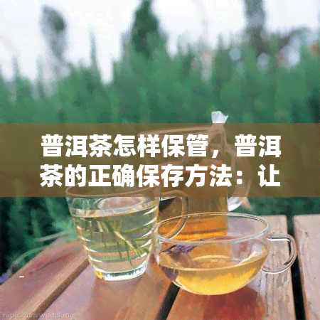 普洱茶怎样保管，普洱茶的正确保存方法：让你的茶叶保持状态