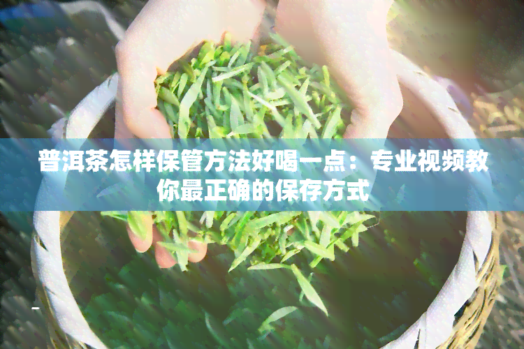 普洱茶怎样保管方法好喝一点：专业视频教你最正确的保存方式